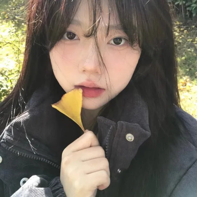 最后的气宗
